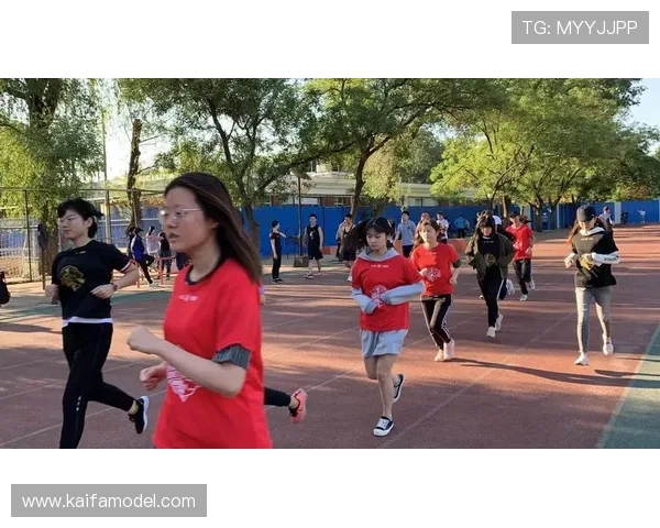 提升真人体育APP登录成功率的实用技巧与注意事项全解析